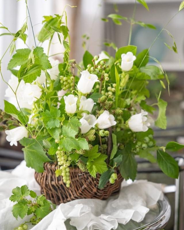 ベリーのバスケットのコンポジション